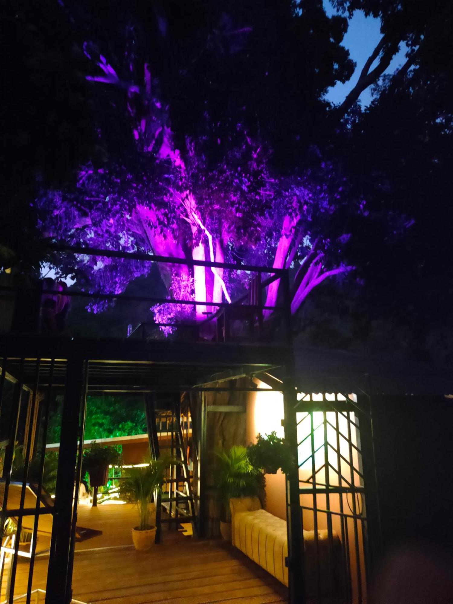 Phuket Jungle Experience Resort Карон Экстерьер фото