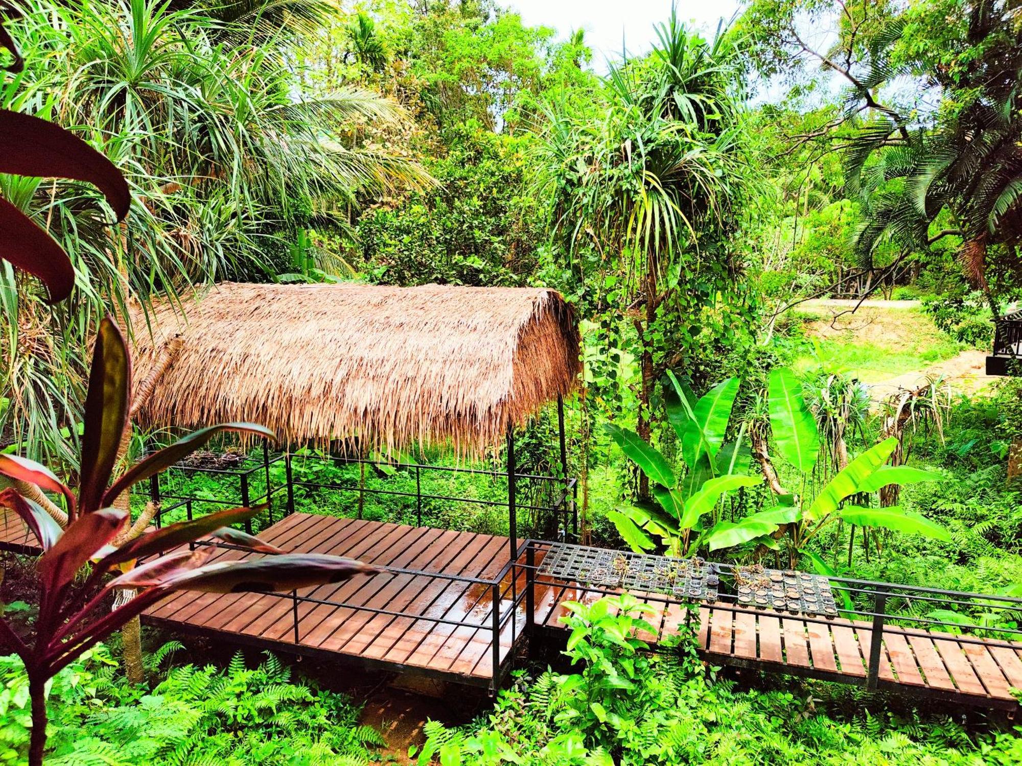 Phuket Jungle Experience Resort Карон Экстерьер фото