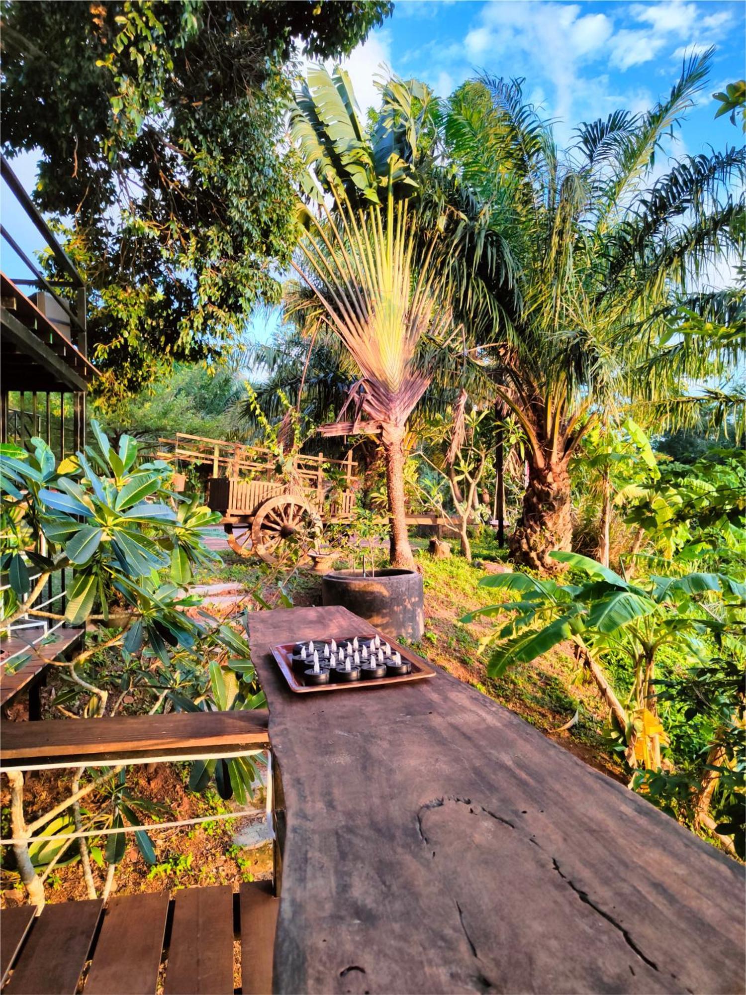 Phuket Jungle Experience Resort Карон Экстерьер фото
